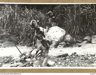 FARIA RIVER, NEW GUINEA. 1944-01-11. NATIVE CARRIERS, LOADED WITH RATIONS AND AMMUNITION FOR NO. 11 PLATOON, B COMPANY, 2/9TH INFANTRY BATTALION CROSSING THE FARIA RIVER JUST ABOVE GUY'S POST