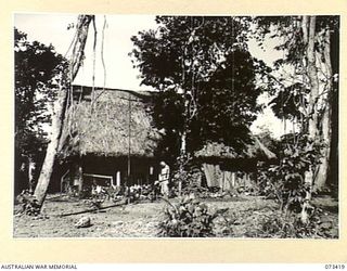 LAE, NEW GUINEA. 1944-05-24. VFX4779 MATRON E.F. JOHN, RRC, (1) EXAMINING THE GARDEN OUTSIDE HER HUT AT THE 2/7TH GENERAL HOSPITAL. THE HUT IS SITUATED AMONG TREES OVERLOOKING THE BUSU RIVER