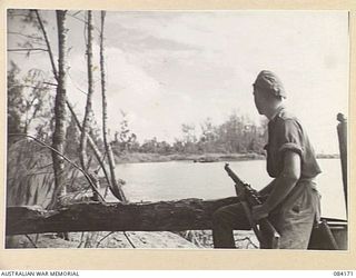 BOUGAINVILLE, SOLOMON ISLANDS. 1944-12-09. PRIVATE R.G. ALLDER, HQ COMPANY, 15 INFANTRY BATTALION, OBSERVING ACROSS THE JABA RIVER FROM THE MOST SOUTHERLY OUTPOST IN THE PERIMETER TOWARDS NEARBY ..