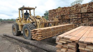 PNG government indicating logging for agricultural development will continue