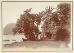 View at Pago Pago, Samoa