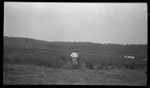 European man by sisal plants, at sisal plantation in Fairfax, Central Province