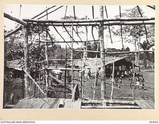 MOROKAIMORO, BOUGAINVILLE, 1945-06-05. A NATIVE CAMP UNDER CONSTRUCTION WITH ANGAU SUPERVISION. THE NATIVES, EVACUATED FROM ENEMY AREAS, ASSIST GREATLY BY SCOUTING AND LOCATING TRACKS FOR OUR ..
