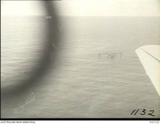 NEAR WEWAK. C. 1944-06. AERIAL VIEW OF A CATALINA FLYING BOAT RESCUING FROM THE SEA FLIGHT SERGEANT G. S. MOGG, MUDGEE, NSW, AN RAAF KITTYHAWK PILOT WHO HAD TO DITCH NEAR WEWAK. THIS PHOTOGRAPH WAS ..