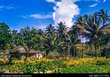 Korolevu - bure (hut)