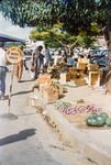 Slide from the "Pacific Islands Coral Route" by Maurice McGreal