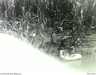 NEW GUINEA, 1942-1943. POSSIBLY WAIROPE RIVER - PROBABLY A NAVY COASTWATCHER GOING ASHORE WITH HIS EQUIPMENT FROM A CATALINA. (3 OF 5)