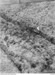 NEAR RURI BAY, NORTHERN BOUGAINVILLE ISLAND, SOLOMON ISLANDS. 1945-03-04. THREE JAPANESE TANKS INTENDED BY THE ENEMY FOR USE AS A SURPRISE WEAPON AGAINST AUSTRALIAN TROOPS FIGHTING IN THE NORTHERN ..