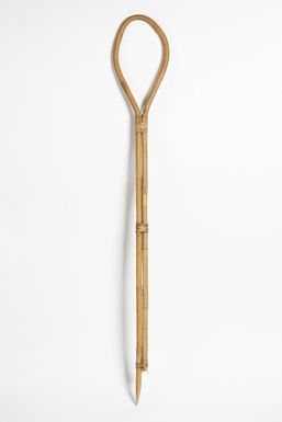 catchpole for wild boars