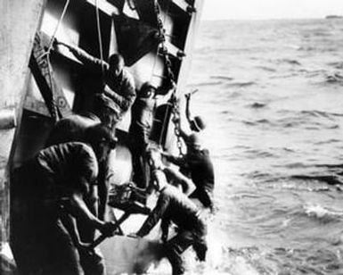 [U.S. Marines Hanging Onto an LVT]