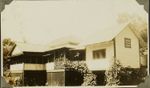 Tuanaimato Rubber Plantation, near Apia?, Samoa, 1928