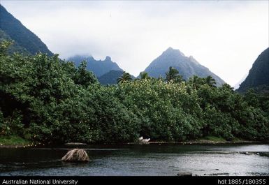 Tahiti - Vaitepina River near Tautira