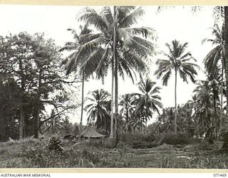 UPPER ILEBBE CREEK, NEW GUINEA. 1944-03-27. THE SITE OF THE UPPER ILEBBE CREEK ACTION IN THE AREA OF THE 20TH INFANTRY BRIGADE