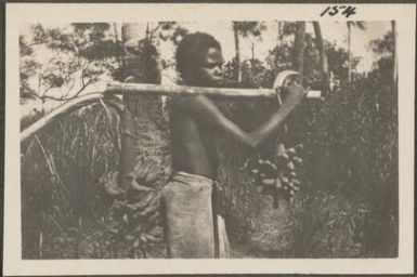 Boy carrying bananas, New Britain Island, Papua New Guinea, probably 1916