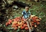 Child sitting on cocoa
