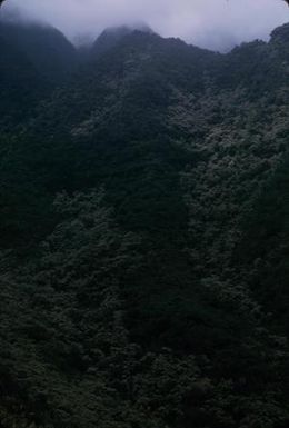 [Cliffside view on Kauai Island, United States]