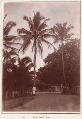 Suva, 1903