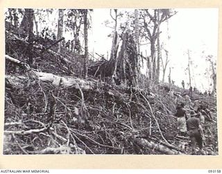 WEWAK AREA, NEW GUINEA, 1945-06-17. TROOPS OF B COMPANY, 2/8 INFANTRY BATTALION, MOVING OVER THE FEATURE THEY HAVE JUST TAKEN ON HILL 2