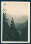 View from Feldberg[?] showing trees in foreground, with winding road through mountain ranges in background, New Guinea, Aug 1932