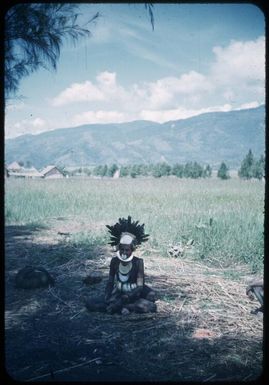 A decorated man, seated : Wahgi Valley, Papua New Guinea, 1954-1955 / Terence and Margaret Spencer