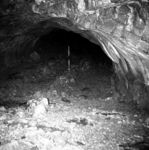Seuao caves. Main gallery, divided into platforms and central pathway.