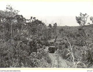 FINSCHHAFEN AREA, NEW GUINEA, 1944-03-17. A JEEP PICTURED TRAVELLING ALONG THE SATTELBERG ROAD AT COCONUT RIDGE