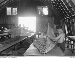 3 MILE, PORT MORESBY, NEW GUINEA. 1943-12-14. INTERIOR OF THE FOLDING ROOM OF THE 1ST AUSTRALIAN PARACHUTE REFOLDING PLATOON, AUSTRALIAN ARMY ORDNANCE CORPS. IDENTIFIED PERSONNEL ARE: QX29864 ..