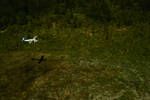 Small aircraft over a newly cleared village food garden plot, Western Highlands, [Papua New Guinea], Feb 1961