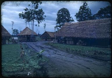 Entrance to the hospital at Saiho, Papua New Guinea, 1951 / Albert Speer