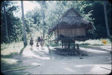 Skirt-making - the house : Environs of Mapamoiwa, D'Entrecasteaux Islands, Papua New Guinea, 1956 / Terence and Margaret Spencer