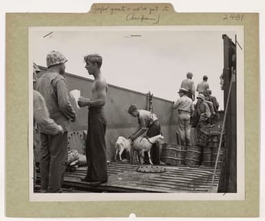 Photograph of Captured Goats Aboard a Coast Guard-manned Landing Barge