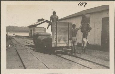 Storing copra in sheds at the wharf, Rabaul, New Britain Island, Papua New Guinea, probably 1916