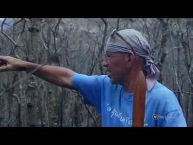 PBS Hawaii - HIKI NŌ Episode 404 | Waianae High School | From the Ashes