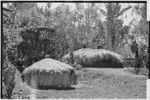 Pig festival, preparations: men's house (r) and small house for sacred stones (r), elevated food storage (background)