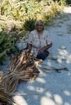 In the lotokie 'lit. within fine pandanus (Freycinetia)' 23-12-69.