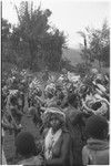 Pig festival, pig sacrifice, Tsembaga: people on the dance ground, ritual fence in background