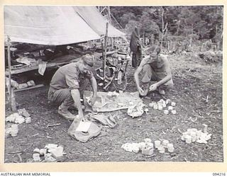 MOLONEY'S RIDGE, WEWAK, NEW GUINEA. 1945-07-13. CORPORAL R.C. MUNSIE (1) AND PRIVATE B. COCHRANE (2), MEMBERS OF A COMPANY, 2/5 INFANTRY BATTALION, SORTING TOBACCO FOR DISTRIBUTION TO THE COMPANY ..