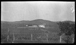 Sisal plantation at Fairfax, Central Province