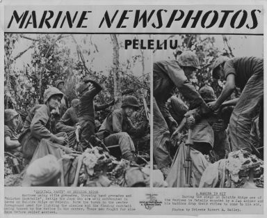 Newsphoto clipping Peleliu