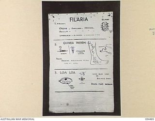 LAE AREA, NEW GUINEA, 1945-08-03. A "PIDGIN" ENGLISH CHART USED FOR THE INSTRUCTION OF NATIVE REGIMENTAL AID POST ORDERLIES. THE PHOTOGRAPH WAS MADE AT THE REQUEST OF HEADQUARTERS AUSTRALIAN NEW ..