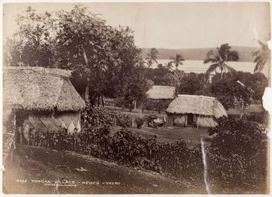 Tongan Village, Neiafu, Vavau