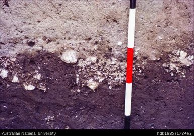 SAD/III, West profile showing pumice band