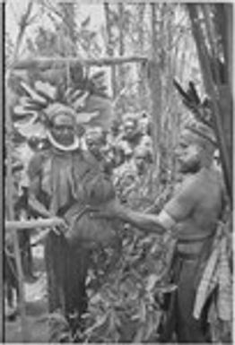 Pig festival, uprooting cordyline ritual: Wabi (left) presents bag of food to a ally