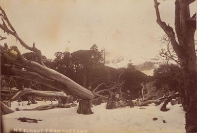 Mt Egmont from the camp. From the album: Tahiti, Samoa and New Zealand scenes