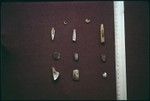 Incised shell fragments and other artifacts from archaeological site, Moorea