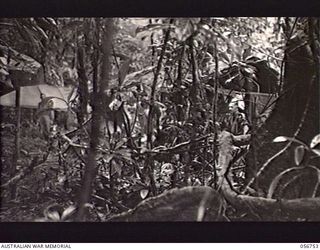 SALAMAUA AREA, NEW GUINEA. 1943-07-22. STORES TENT (LEFT) AND MEDICAL INSPECTION TENT (RIGHT) AT THE 2/2ND AUSTRALIAN FIELD AMBULANCE. SHOWN: VX2508 LIEUTENANT E. J. BOWMAN (LEFT); VX10464 LANCE ..