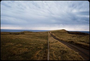 [Coastal landscape, Cape Saunders, Otago Peninsula]