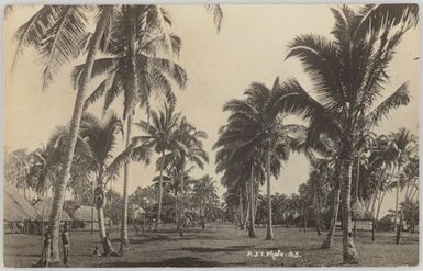 Native village, Upolu