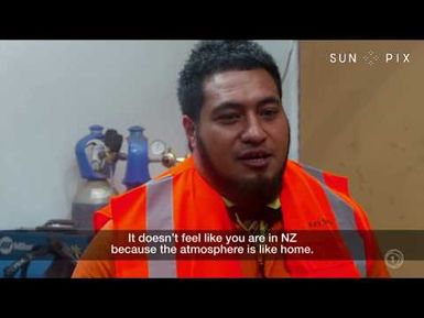 TAGATA PASIFIKA: Tauranga tradies in demand