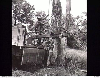 PORT MORESBY, NEW GUINEA. 1943-11-15. A GUN CREW LOADING THE PARTS OF A "NORMAL" 25-POUNDER GUN INTO A THREE TON TRUCK FOR TRANSPORT TO THE AIRPORT. A BLOCK AND TACKLE IS RIGGED TO A TREE. SHOWN ..